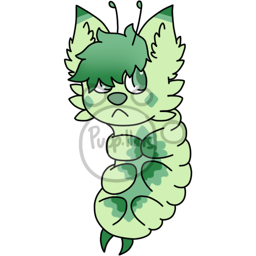 PUP-344: Green Bean