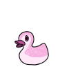 Pink Orca Ducky