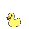 Classic Ducky