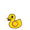 Intersex Pride Ducky