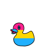 Pan Pride Ducky