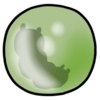 <a href="https://puppillars.com/world/items?name=Green Mysterious Orb" class="display-item">Green Mysterious Orb</a>