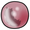 <a href="https://puppillars.com/world/items?name=Red Mysterious Orb" class="display-item">Red Mysterious Orb</a>