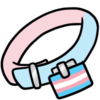 <a href="https://puppillars.com/world/items?name=Trans Pride Collar" class="display-item">Trans Pride Collar</a>