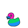 Poly Pride Ducky
