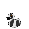 Panda Duck