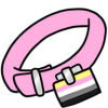 Queerplatonic Pride Collar